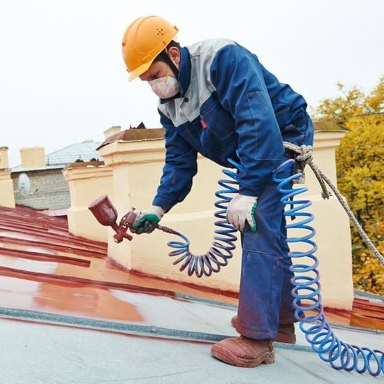 Painting (Roof)