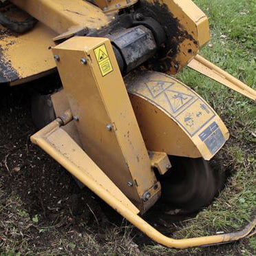 Stump Grinder